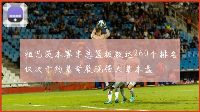 祖巴茨本赛季总篮板数达260个排名仅次于约基奇展现强大基本盘