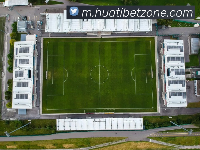 华体会体育品牌故事